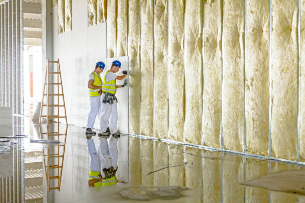 Best Insulation Maintenance and Repair in Prestbury, IL